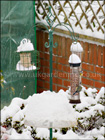 Blue tits feeding in winter snow