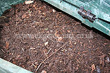 Compost bin (finish compost ready to be used)