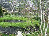 The Katherine Parr garden, designed by Yvonne Mathews, it was awarded a Silver medal. As part of the Six Wives of Henry VIII show gardens at the 2009 Hampton Court Palace Flower Show. It was a 'Mary' garden, a garden where each plant has a connection to the Virgin Mary.