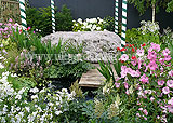 Thyme bed, part of the Katherine Howard garden, designed by Philippa O'Brien which was awarded a Silver-Gilt. It was part of the Six Wives of Henry VIII show gardens at the 2009 Hampton Court Palace Flower Show.
