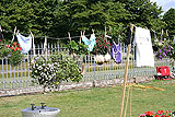 A novel planting idea, displayed at the 2009 Hampton Court Palace Flower Show