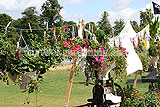 A novel planting idea, displayed at the 2009 Hampton Court Palace Flower Show