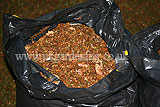 Making leaf mould (11)