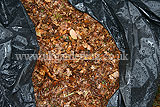 Making leaf mould (16)