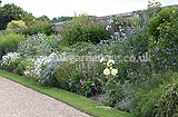 Mixed border at Hampton Court Palace