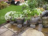 Patio planter with a white theme