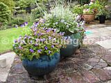 Patio planter with a lilac theme