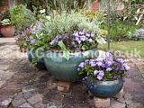 Patio planter with a lilac theme