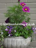 Summer bedding planter